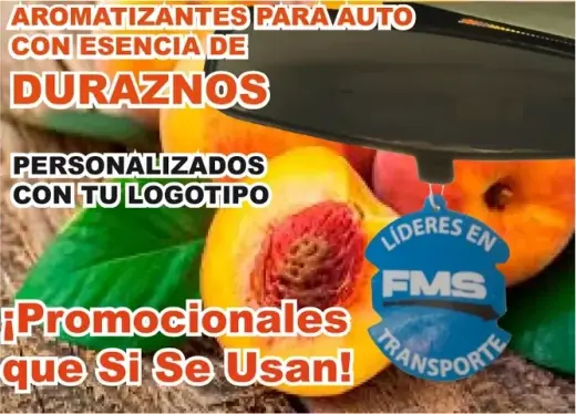 AMBIENTADOR PUBLICITARIO AUTO