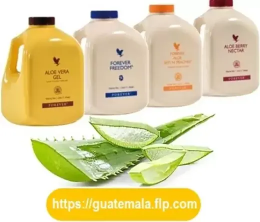 Beber Forever Aloe Vera GEL