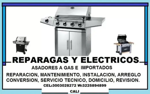 ASADORES 3003028272