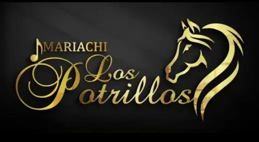 🎉 MARIACHI LOS POTRILLOS LLC