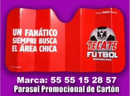 TAPASOL PARA AUTOS
