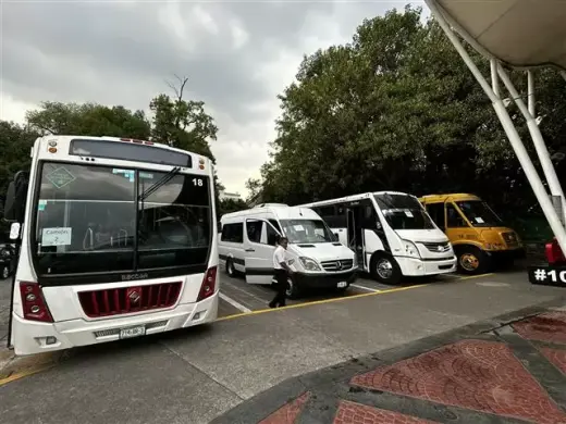 Chofer transporte escolar