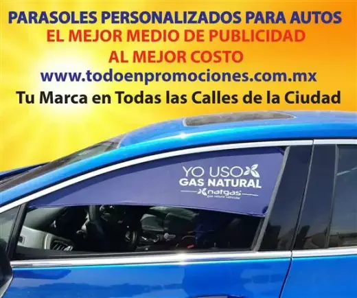 PARASOLES PARA AUTO