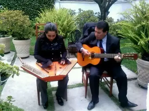 SALTERIO VIP MÚSICA FINA