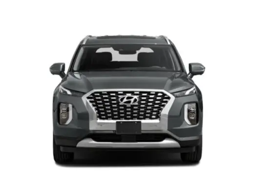 Hyundai PALISADE 2022 Calligraphy 4dr SUV