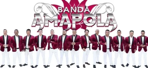 BANDA AMAPOLA 323 303 8484