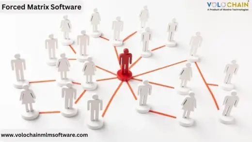 Forced Matrix Software Tools