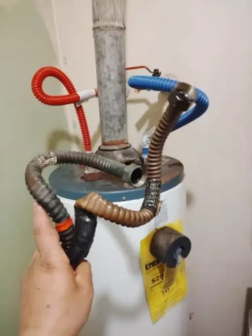 365 dias plumbing