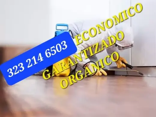 Fumigador Honesto Economico