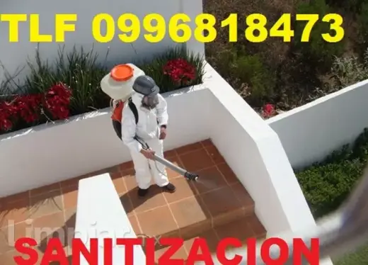 DESINFECCIONes En Carcelén