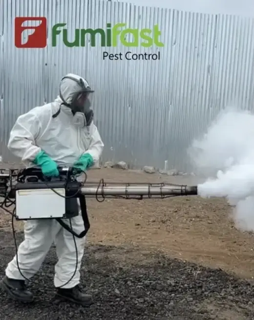 20 años vs.Termitas FUMIFAST