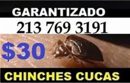 FUMIGACION 100% GARANTIZADA
