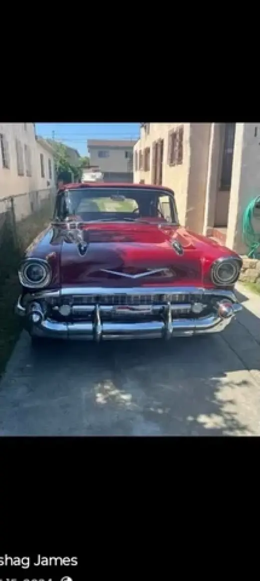 Pintado automotris