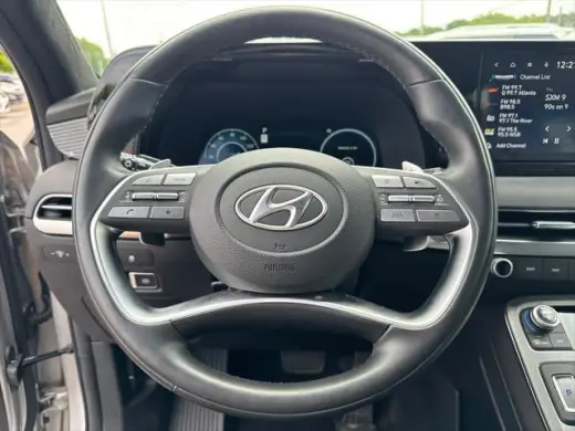 Hyundai PALISADE 2024 AWD Calligraphy 4dr SUV