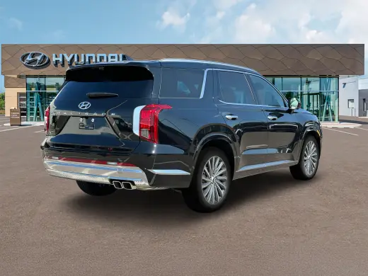 Hyundai PALISADE 2024 Calligraphy 4dr SUV