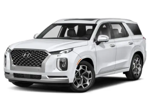 Hyundai PALISADE 2022 Calligraphy 4dr SUV