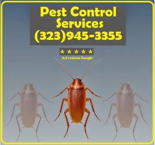 PEST CONTROL SERVICES⭐⭐⭐⭐⭐L.A.