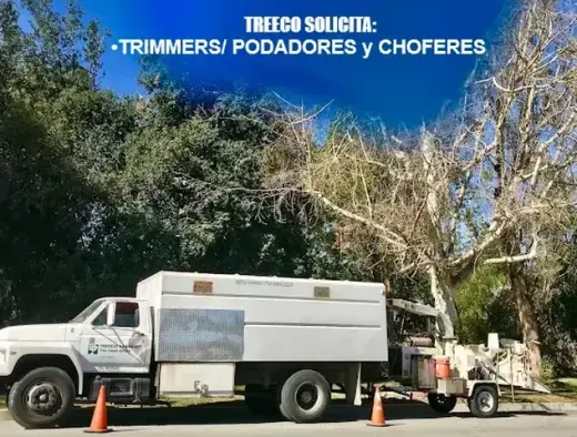 🌳TRIMMERS/PODADORES📍La Habra
