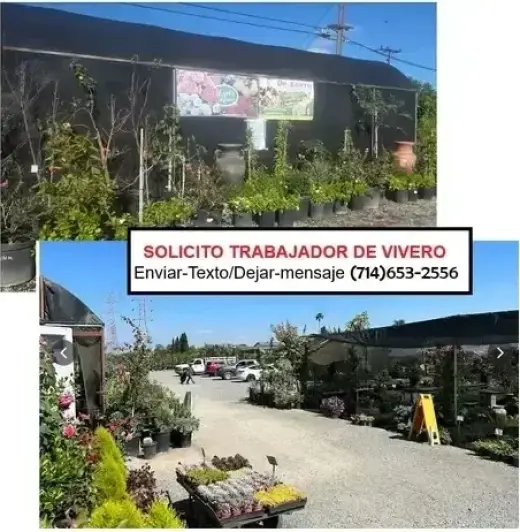 TRABAJADOR DE PLANTAS