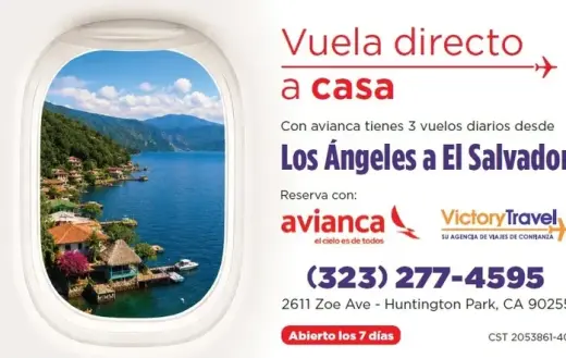 ¡VUELA DIRECTO A CASA!