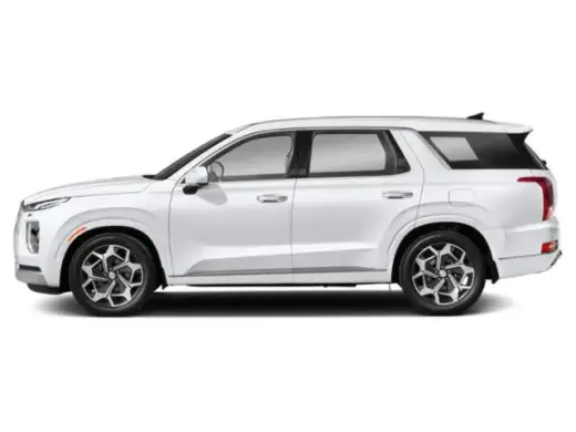 Hyundai PALISADE 2022 Calligraphy 4dr SUV