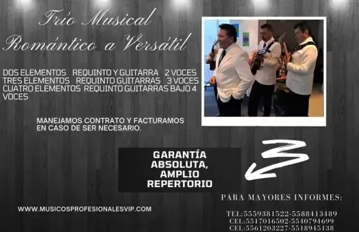Trío Romántico VIP en CDMX