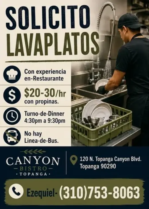 SOLICITO LAVAPLATOS 📍