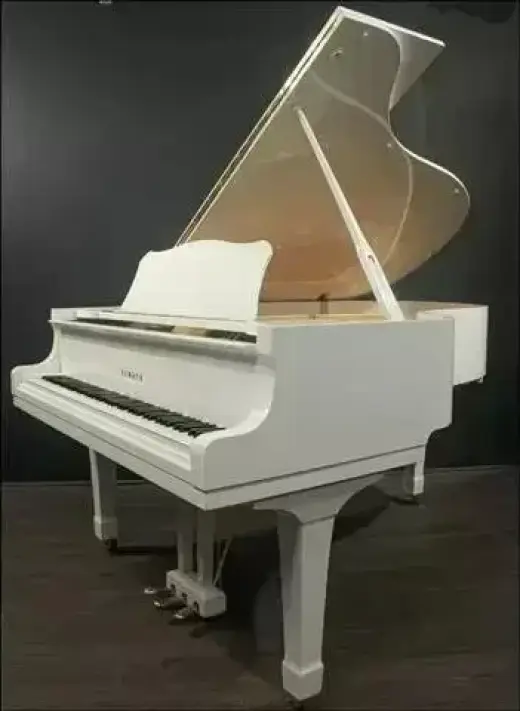 🎵🎵ESTUDIA CANTO O PIANO