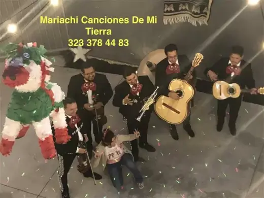 Sol Mariachi Especial $200