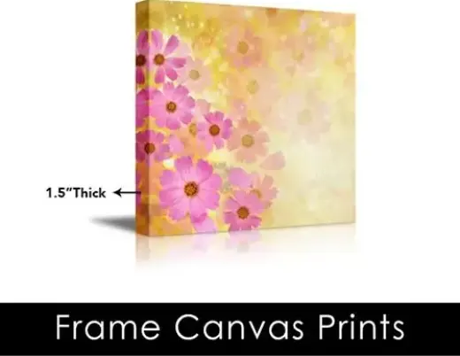 Cuadros Canvas Baratos