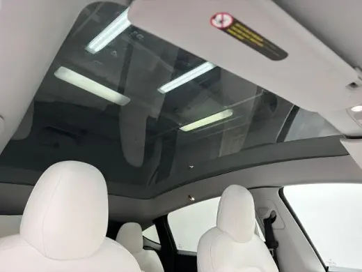 Tesla Model Y 2020 AWD Long Range 4dr Crossover