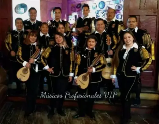 Agrupaciones MusicalesVIP