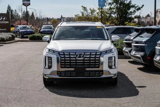 Hyundai PALISADE 2023 AWD Calligraphy 4dr SUV