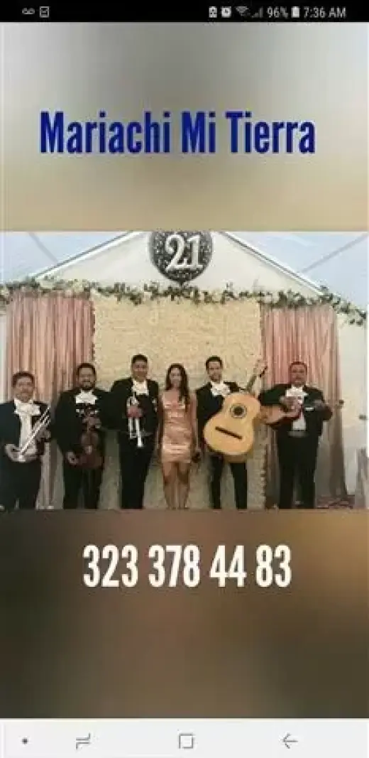 Alegria Mariachi Desde $240