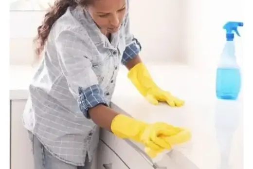 $20XHR / TRABAJO DE LIMPIEZA