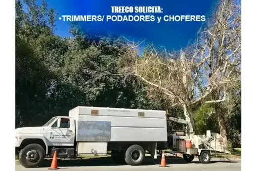🌳TRIMMERS/PODADORES📍La Habra