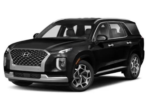 Hyundai PALISADE 2022 Calligraphy 4dr SUV