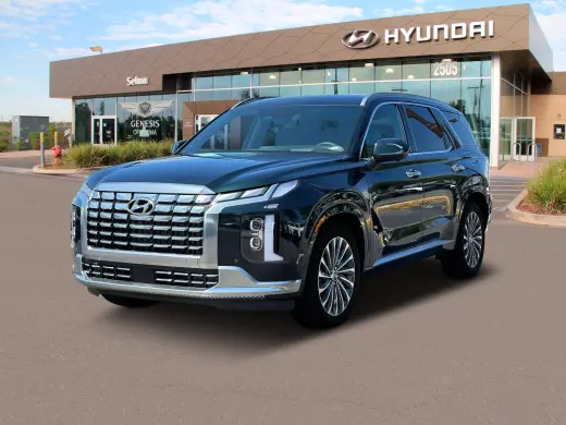 Hyundai PALISADE 2024 AWD Calligraphy 4dr SUV