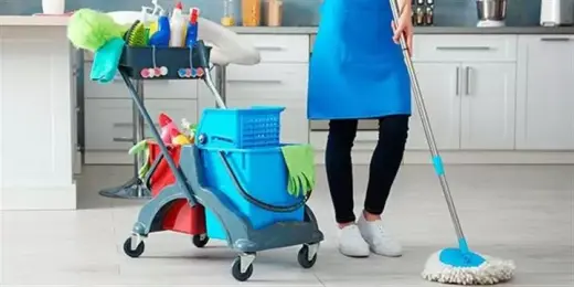 Limpieza De Casas