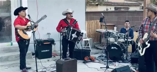 🎶 ACENDADO NORTEÑO 🎶
