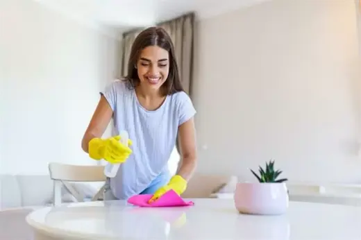 Bacante Para Limpieza De Casas