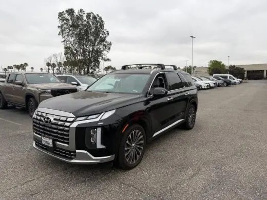 Hyundai PALISADE 2024 Calligraphy 4dr SUV