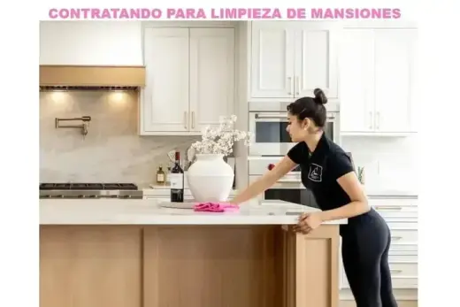 ✨LIMPIEZA DE MANSIONES❗🧹🧼
