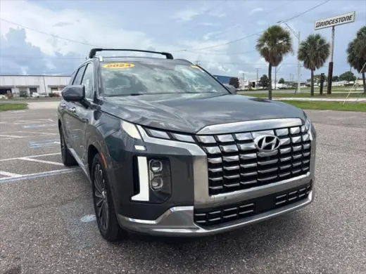Hyundai PALISADE 2024 Calligraphy 4dr SUV
