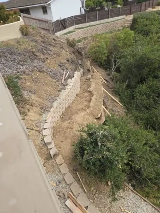 🌿 Jardinería y Árboles Pro
