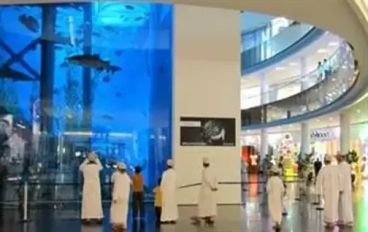 ODONTOLOGOS PARA EMIRATOS