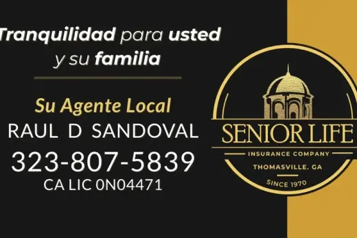 SEGURO para CUNDO TU FALTES !!