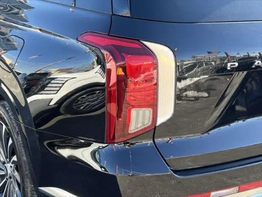 Hyundai PALISADE 2024 AWD Calligraphy 4dr SUV