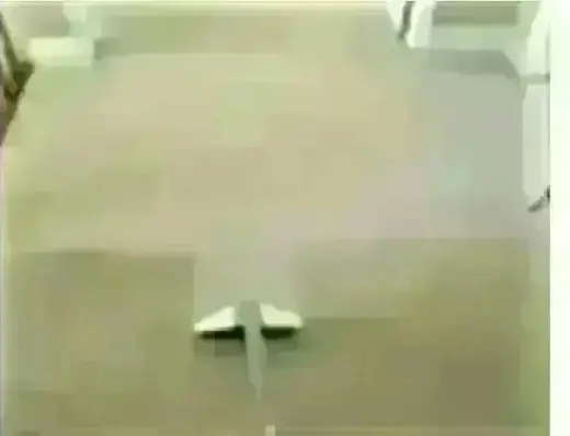 CARPET CLEANING