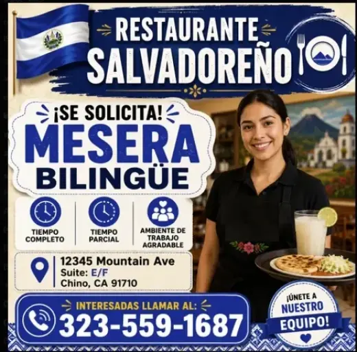 BUSCO MESERA BILINGÜE📍CHINO